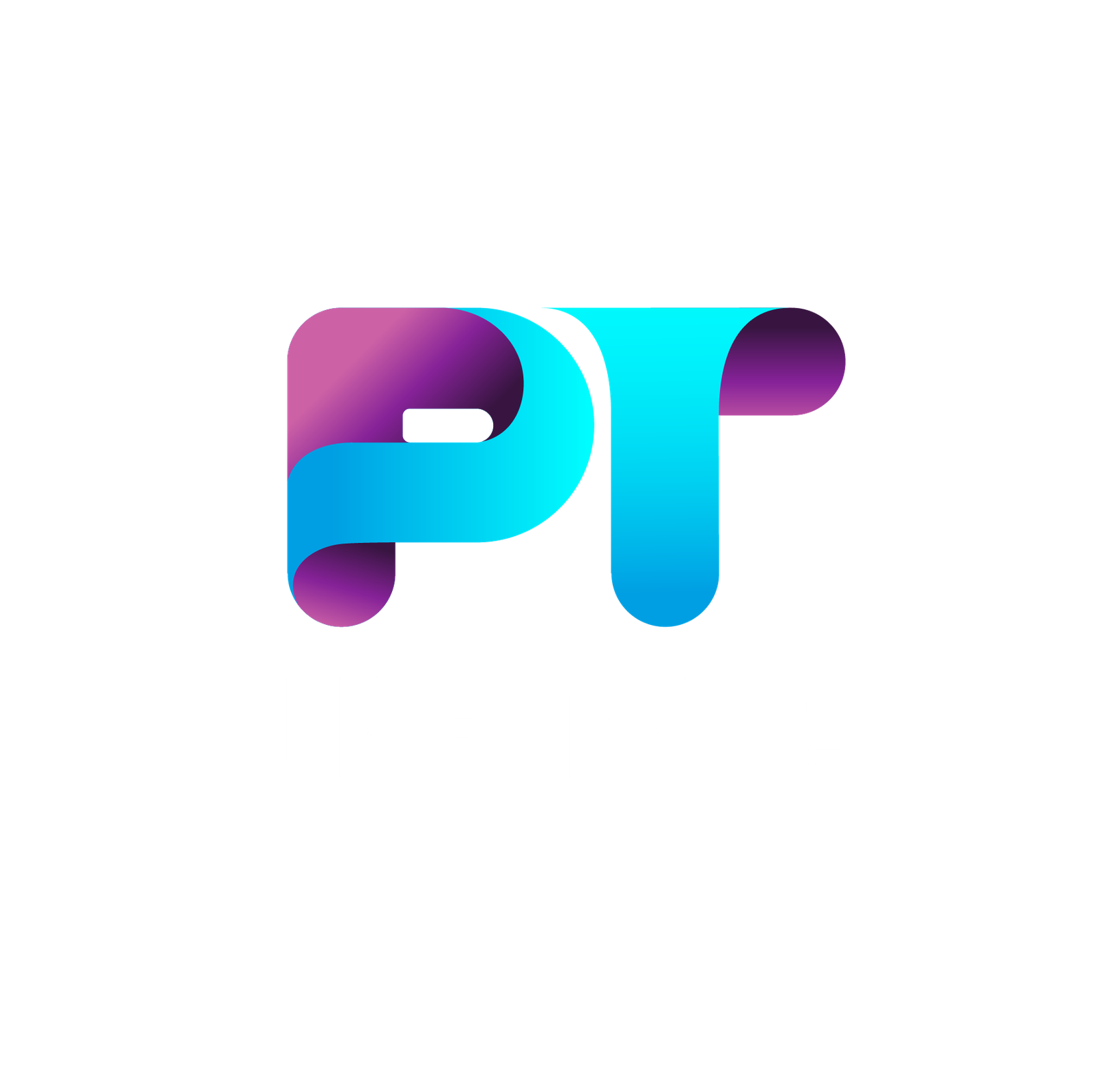 Pure Twist Digital Marketing Agency Logo